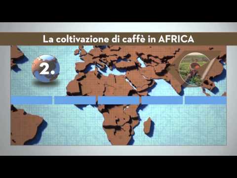 Caffè Toraldo |