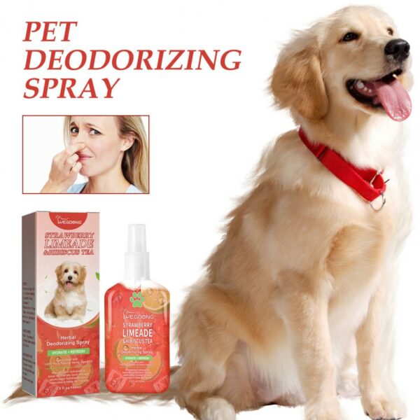 YEGBONG deodorante per animali domestici spray deodorante per interni deodorante per cani deodorizzazione delle urine deodorante profumo deodorante38055642