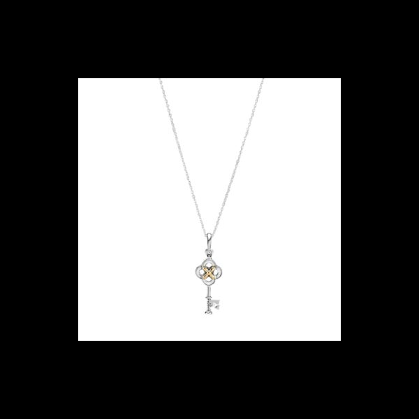 Collana Bicolore Chiave E Fiore315911